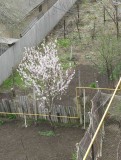 spring-2011.jpg